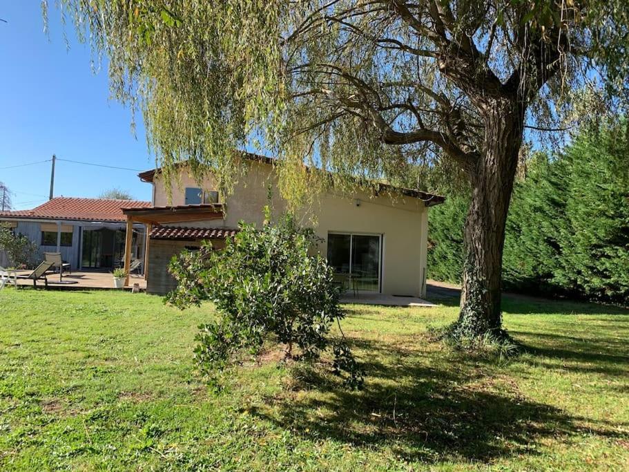 Apartment Sous Le Saule, Entre Et Ocean